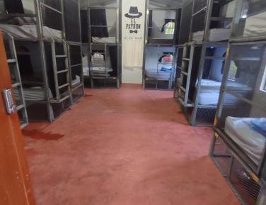 Single Bed in Mixed Dormitory Room