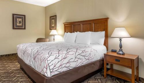 King Room - River View