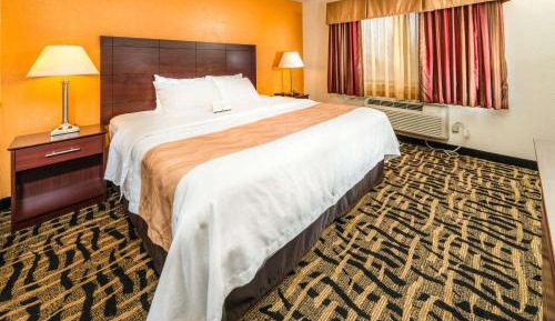 King Room - Disability Access