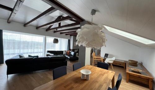 Penthouse Apartment