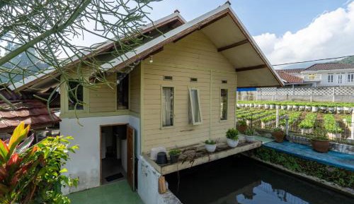 Standard Villa