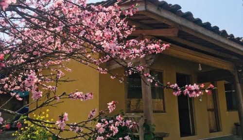 Bungalow with Garden View