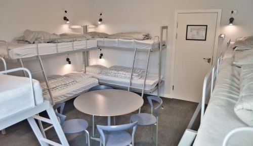 Bed in 12-Bed Mixed Dormitory