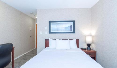 Standard Room, 1 Queen Bed