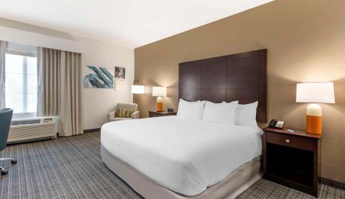1 King Bed, Nonsmoking