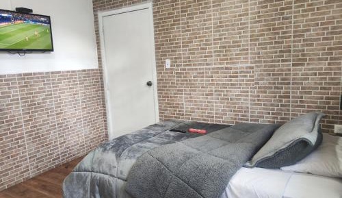 Budget Single Room
