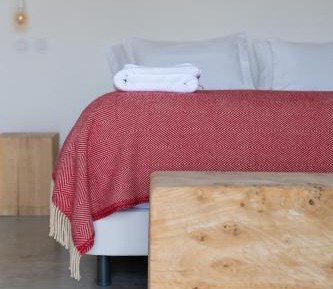 Deluxe Double or Twin Room with Garden View