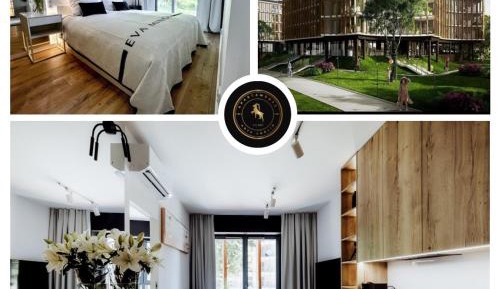 Suite Apartment