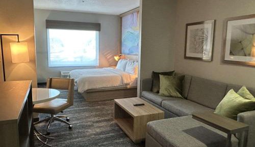 King Suite with Walk-In Shower - Disability Access