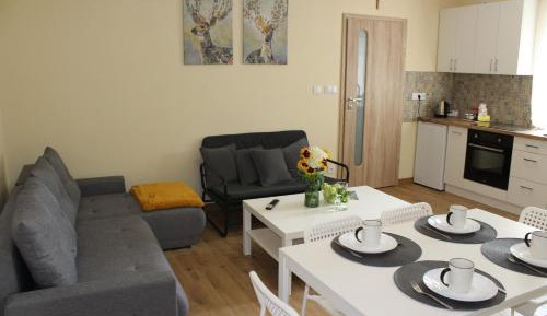 Family Studio