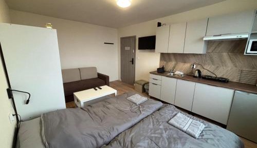 Triple Room with Shared Bathroom
