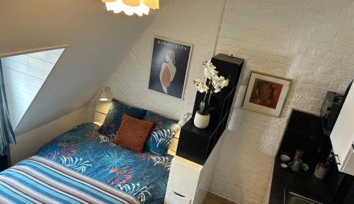Superior Queen Room