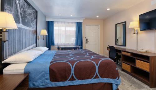 Single Room - Disability Access