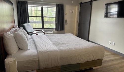 King Room with Roll-In Shower - Hearing Accessible/Non-Smoking