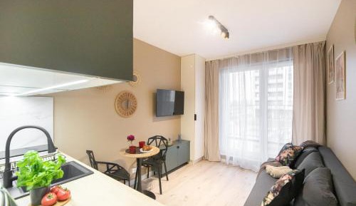 Studio with Balcony