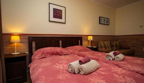 Deluxe Room (2 Adults + 1 Child)