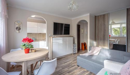 Studio with Sofa Bed