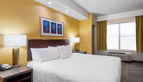 King Suite with Sofa Bed