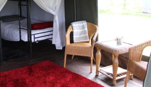 Safari Tent