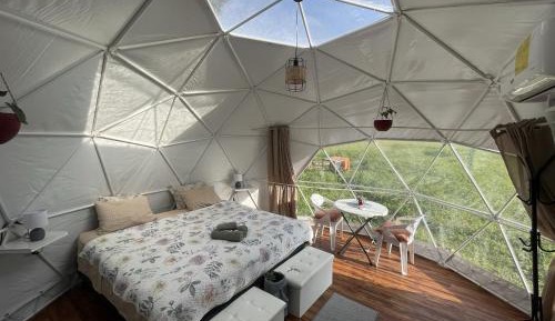 King Room with Garden View