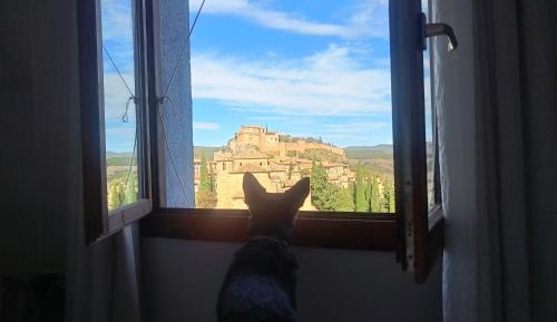 Double Room with Window Castle View