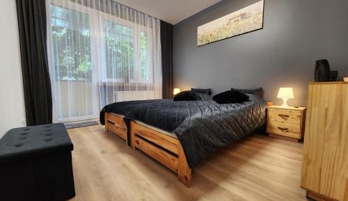 Superior One-Bedroom Apartment with Balcony