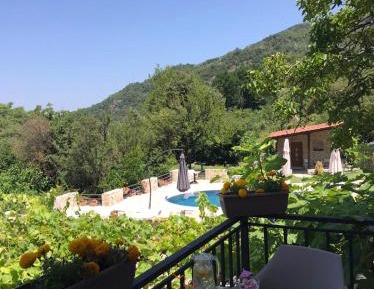 King Room with Pool View