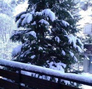 Two-Bedroom Deluxe Apartment with Balcony