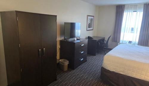 King Room with Sofa Bed and Wet Bar