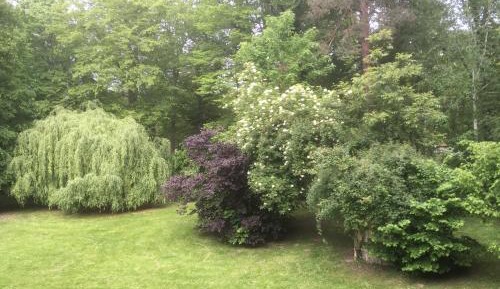 Studio with Garden View