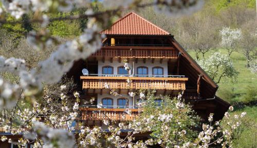 Studio (2 Adults) E8