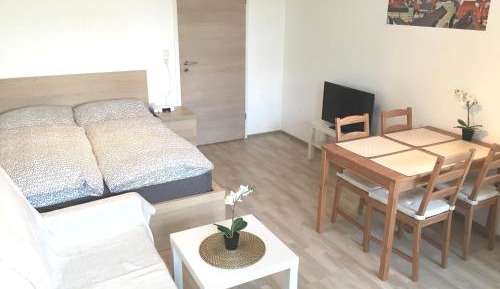 Apartment with Garden View