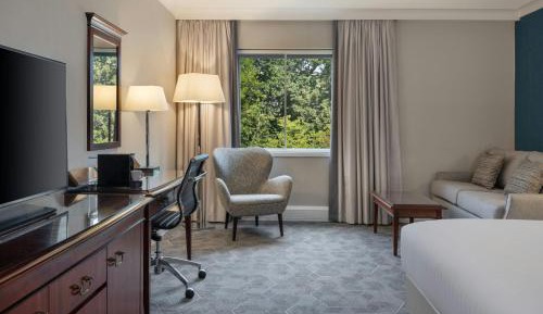 Superior King Room with Sofa Bed