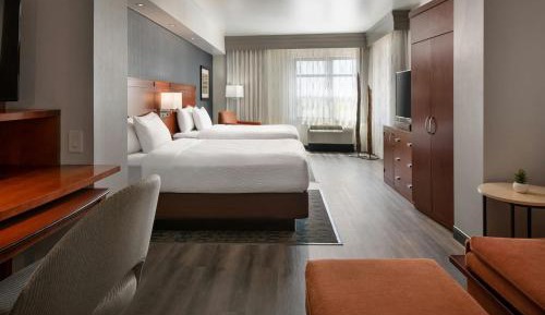 Junior Queen Suite with Sofa Bed