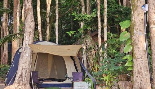Tent