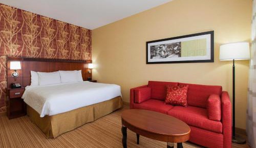 King Room with Sofa Bed