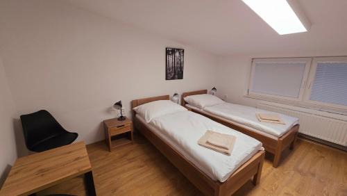 Double or Twin Room with Private Bathroom