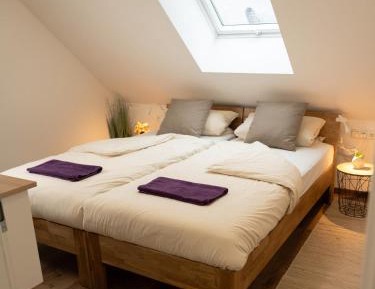 Superior One-Bedroom Apartment