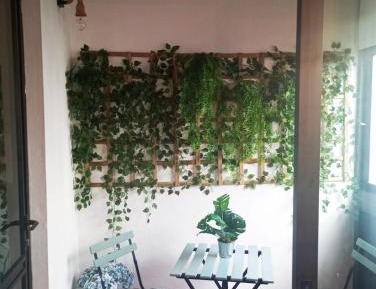Standard Apartment