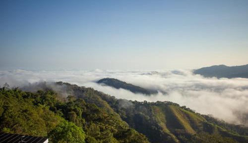 Suite with Mountain View