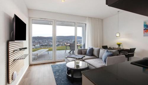 Superior One-Bedroom Apartment