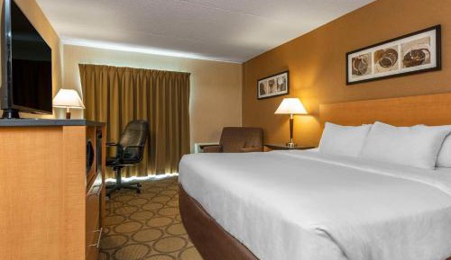 Deluxe King Room with Sofa Bed - Ground Floor