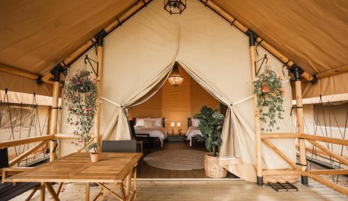 Tent