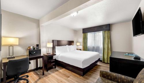 Deluxe King Room