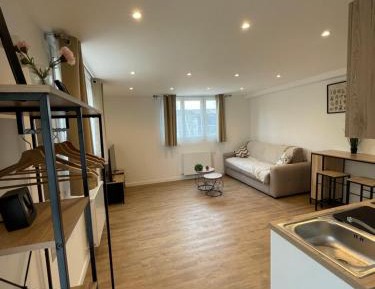 Studio Apartment with King Bed