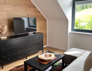 One-Bedroom Apartment with View