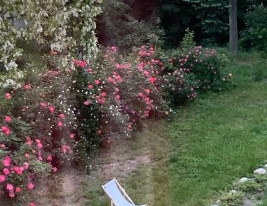 Double Room with Garden View
