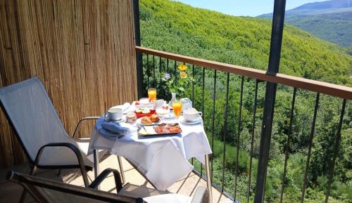 Superior Double or Twin Room with Terrace