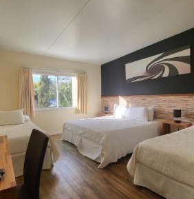 Quadruple Room with Garden View