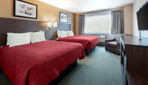 Queen Suite with Two Queen Beds and Sofa Bed  - Non-Smoking